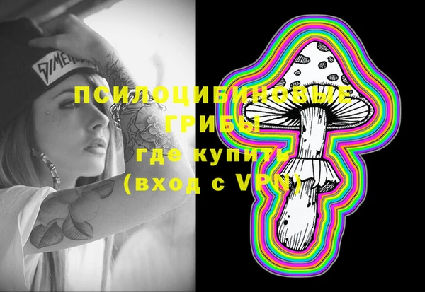 шишки Алексеевка