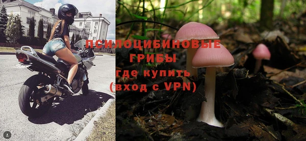 шишки Алексеевка