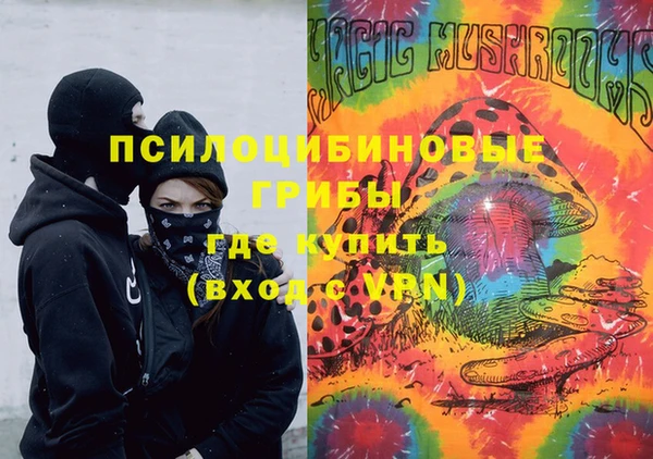 шишки Алексеевка