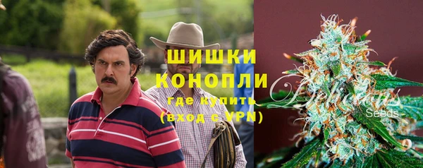 ешки Алзамай