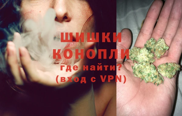 ешки Алзамай