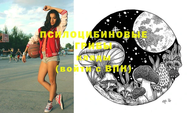 твердый Елабуга