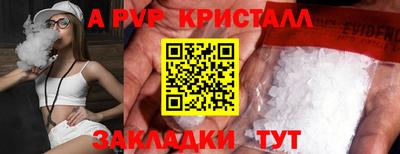 герыч Кингисепп
