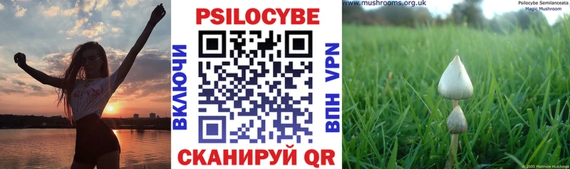 продажа наркотиков  Кириши  Галлюциногенные грибы ЛСД 