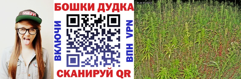 купить сайты Кириши МАРИХУАНА VHQ